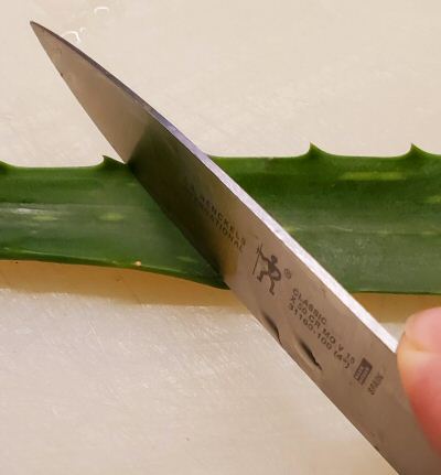 trim the aloe vera leaf